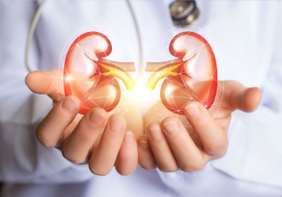 腎臟病症狀有哪些？醫揭腎臟病原因：血壓、血糖、痛風 8 問題都上榜