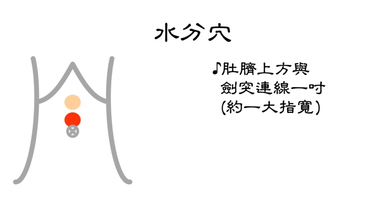 水分穴位置。台北市聯合醫院張馨予醫師提供