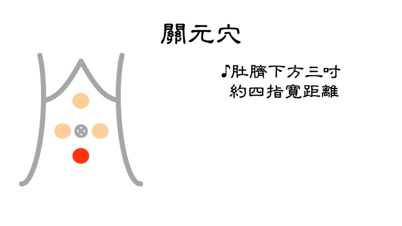 關元穴。台北市聯合醫院張馨予醫師提供