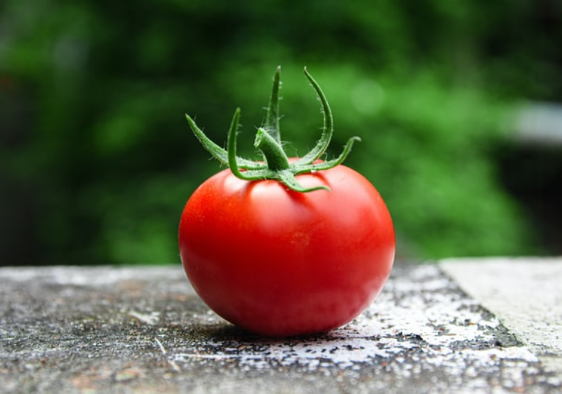 靠一顆鮮紅番茄救地球！比利時根特市翻玩食物色彩學減千噸廚餘