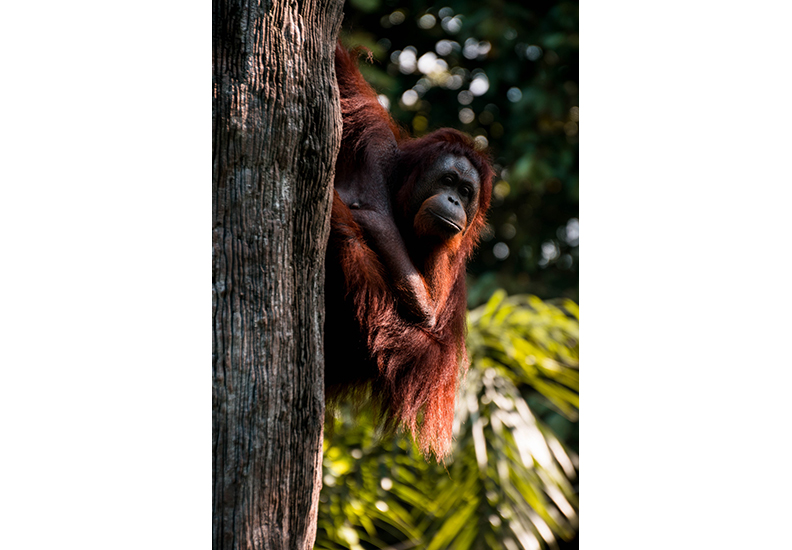 僅為情境圖。取自pexels