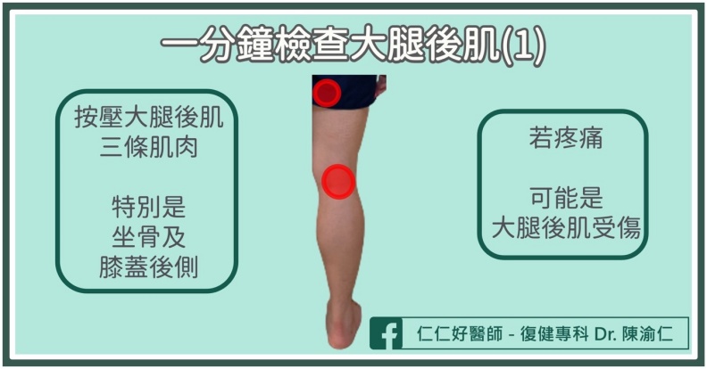 一分鐘檢查大腿後肌。陳渝仁醫師提供