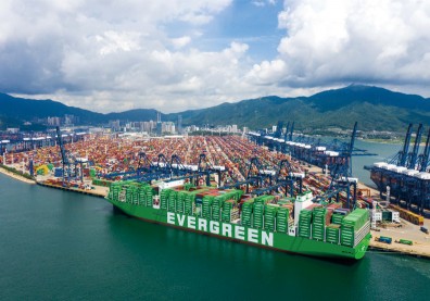 長榮、陽明比年終也要比薪水！揭開航運龍頭內部真實工作狀態