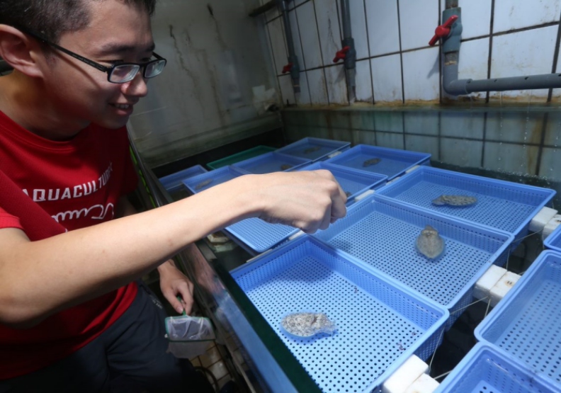 生命科學研究對象不只人類，還擴及地球上的蒼生萬物。蘇義傑攝