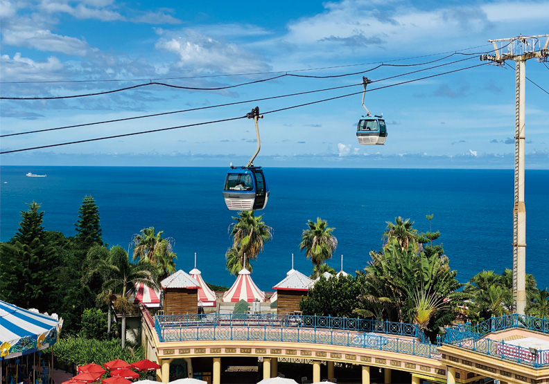 圖為遠雄海洋公園。業者提供