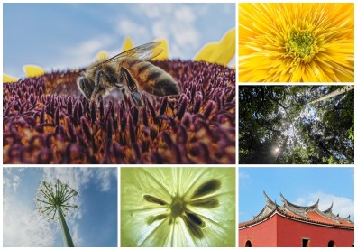 這些照片全是iPhone 13 Pro拍的！完美光影呈現顛覆眾人想像