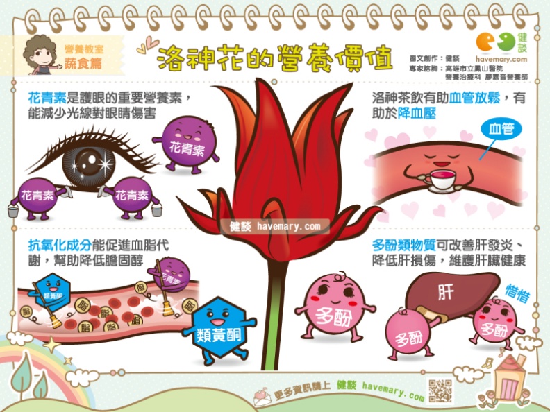 洛神花的營養價值。健談提供