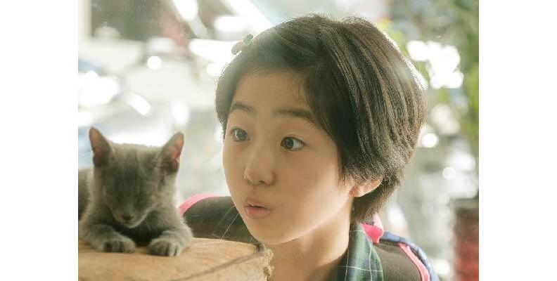 取自網路溫度計。圖片來源：白小櫻 Xiao-Ying Bai FB