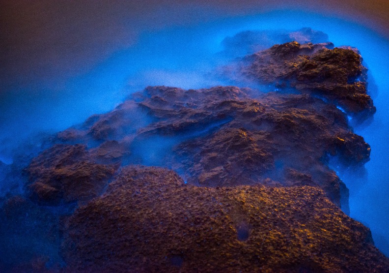 馬祖「藍眼淚」攝影大賽優選《楊仁教:夢幻丁香水》。連江縣政府提供。