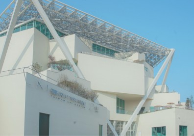 台南市穩站文化首都！全台「教育與文化」花蓮排名飆前四甩高雄