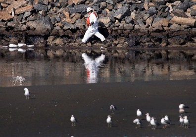 【國際週報】3000桶原油外洩！重創「南加州」生態災難和房價