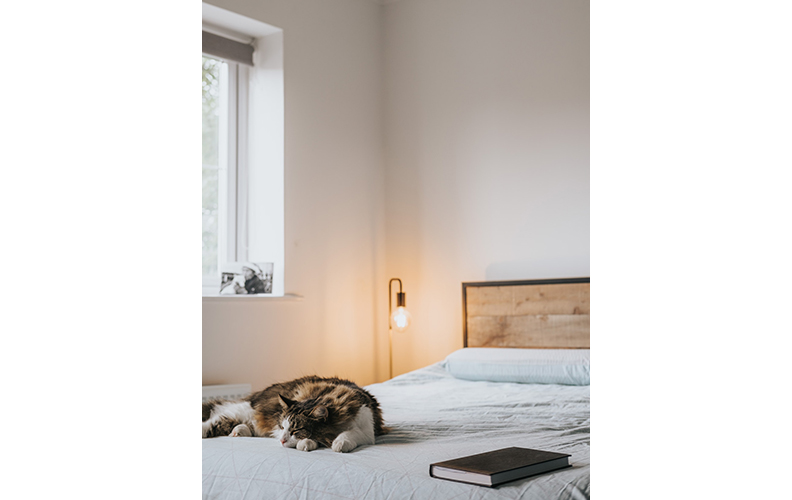 僅為情境圖。取自pexels