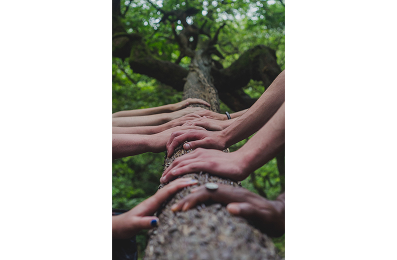 建立團隊才是重點。僅為情境圖,取自unsplash