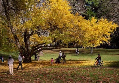 幾乎沒疫情、疫苗施打率又高！紐西蘭的精彩表現究竟怎麼辦到的？