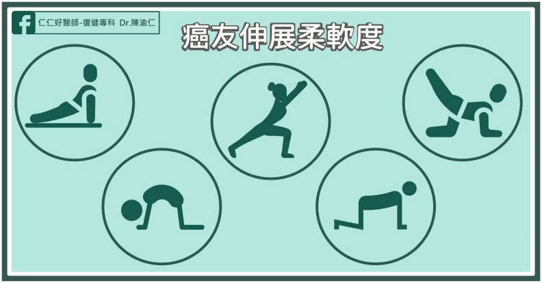 適合癌友的伸展柔軟度訓練。陳渝仁醫師提供