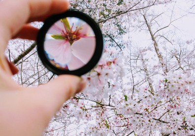 簡單比複雜更難！賈伯斯：擁有專注力將改變你的人生