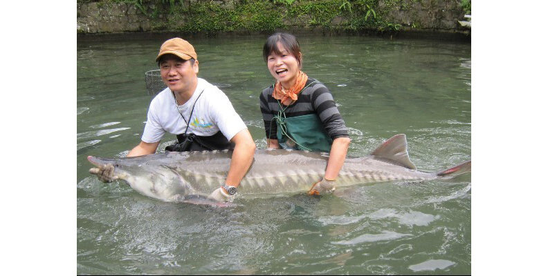 取自網路溫度計。圖片來源：千戶傳奇生態農場FB