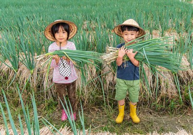 農遊券準備開跑！盤點北部十大親子必去農場，還可用五倍券、信用卡消費