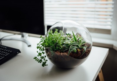 企業在瘋的綠色存款是什麼？為何讓銀行承作飆百億？