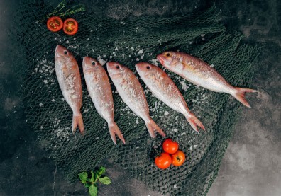 婦人誤食4公分魚刺竟刺破肛門穿破直腸，釀敗血症導致終身洗腎