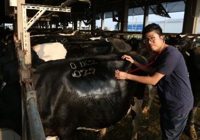 龔建嘉：唯有先願意「讓利」，才能達成永續