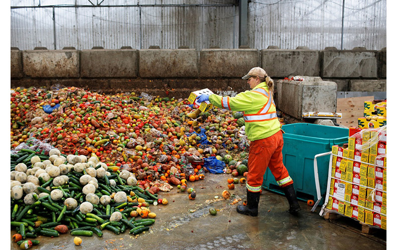 取自創新拿鐵。圖片來源:China Daily
