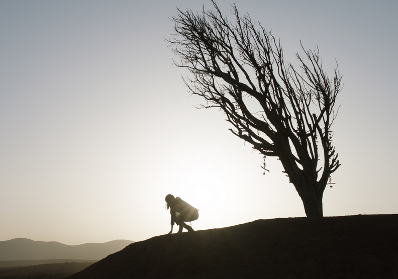 堅持實景拍攝的趙婷，許多鏡頭都饒富詩意。Marvel