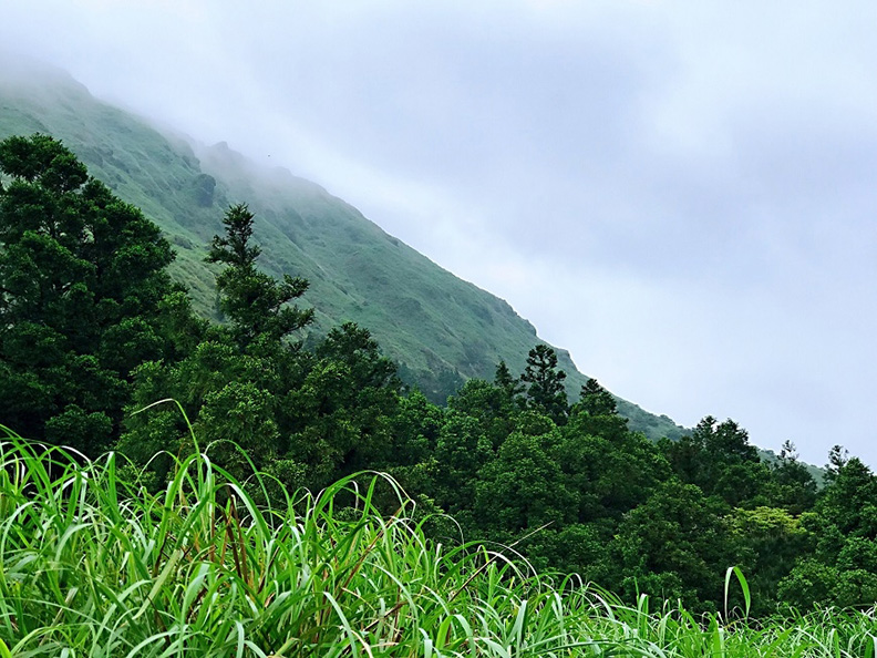 山是彭樹君靈感的場所,她常在此靜坐、沉思、寫作。(彭樹君提供)