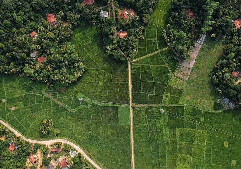 Unsplash by sasha set。