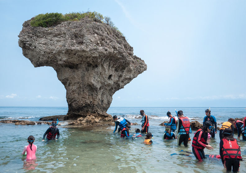 國旅大爆發重創生態！小琉球成「海膽荒礁」，三處潮間帶生物數量銳減八成。僅為情境配圖，取自shutterstock