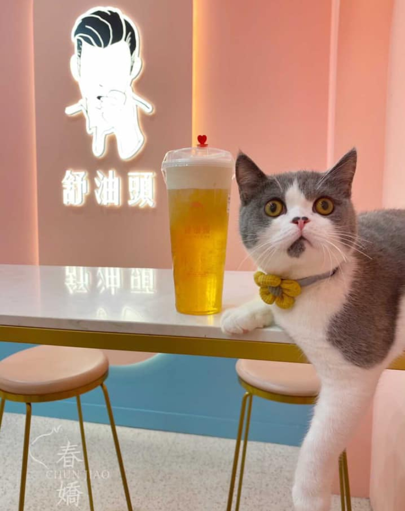 取自臉書「舒油頭 Slowly,Yo」。