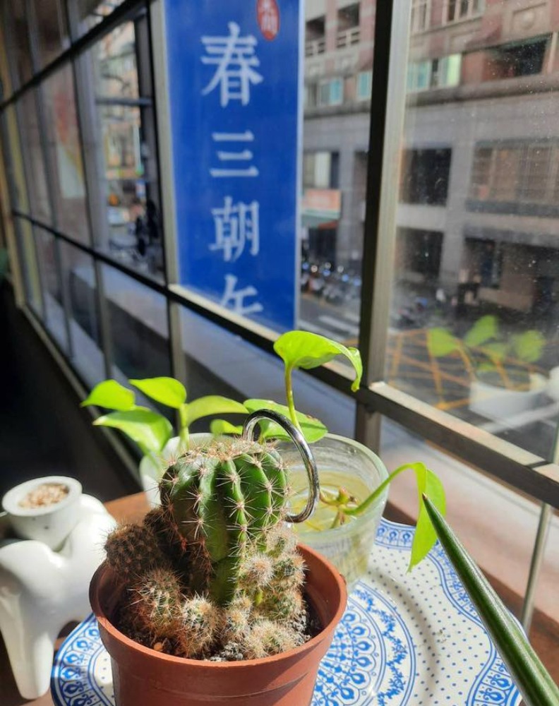 取自臉書「春三 朝午-TreeSun」。