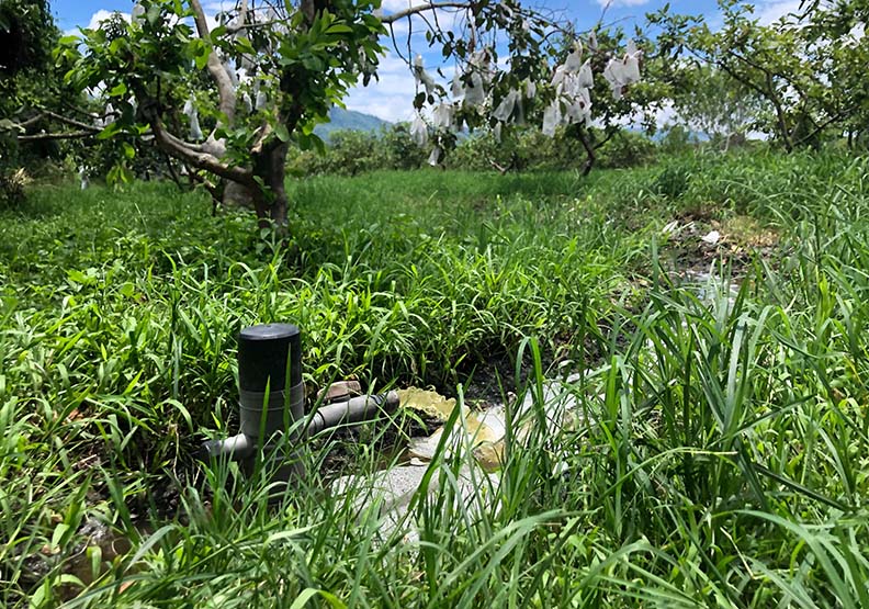 花蓮稻農在插秧期間,開始使用沼液沼渣回灌農地。花蓮縣政府提供。