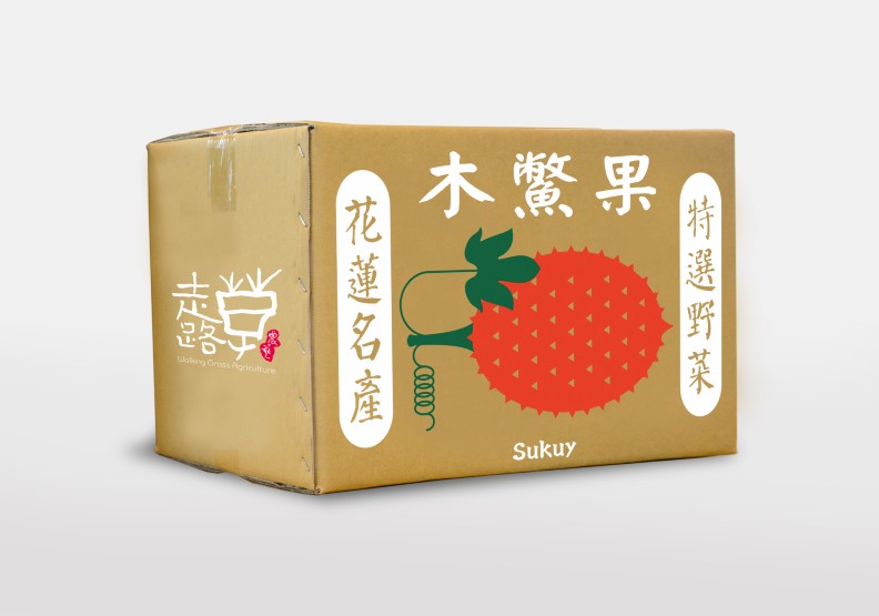 走路草農藝團《白浪海嘯吃菜吧》。花蓮城市空間藝術節提供