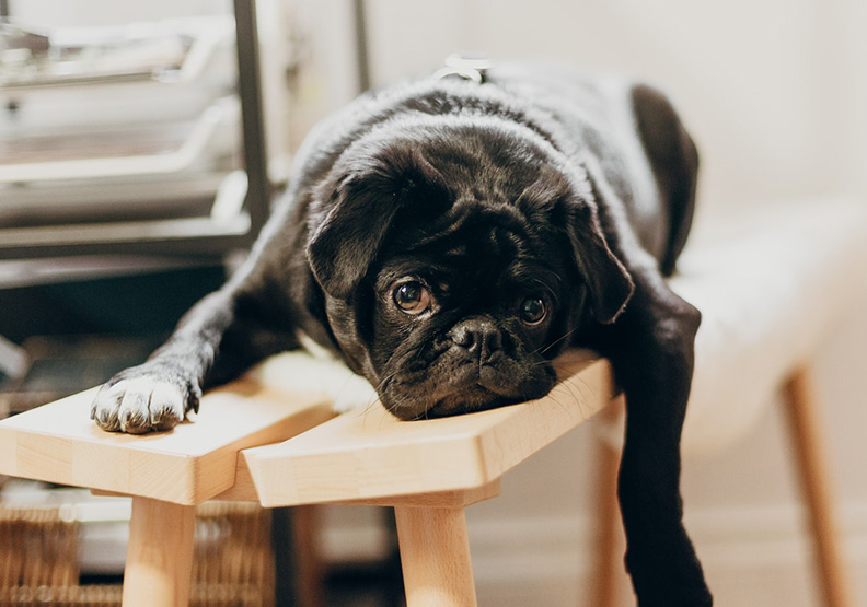 僅為情境圖。取自unsplash