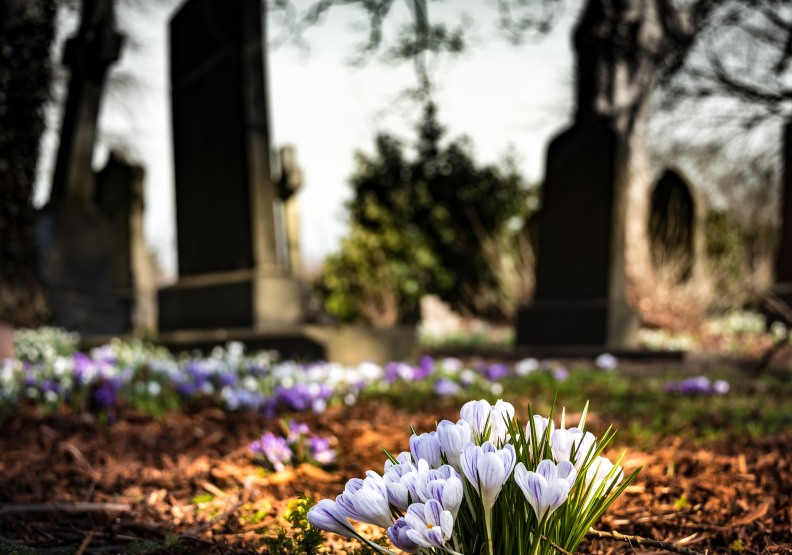 取自Pexels。(示意圖,非內容畫面)