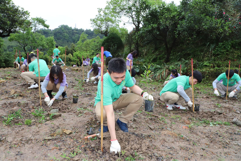 玉山以實際行動認養國有林地造林,推動森林及環境資源復育。