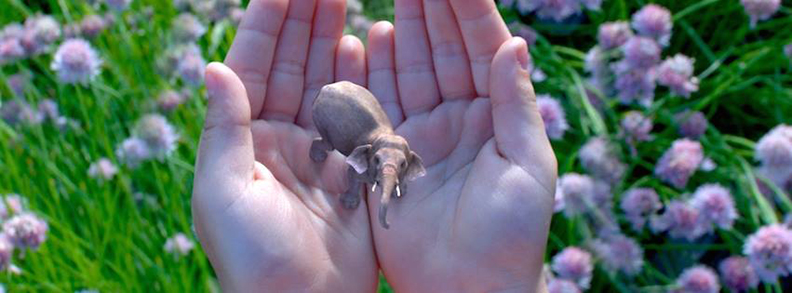 取自創新拿鐵，圖片來源：Magic Leap FB