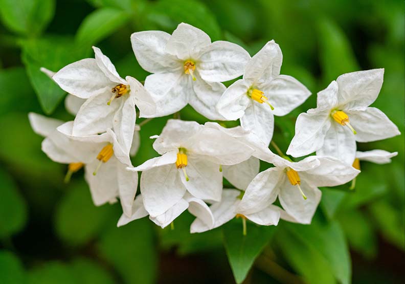 取自Unsplash,攝影:Geraldine Dukes。