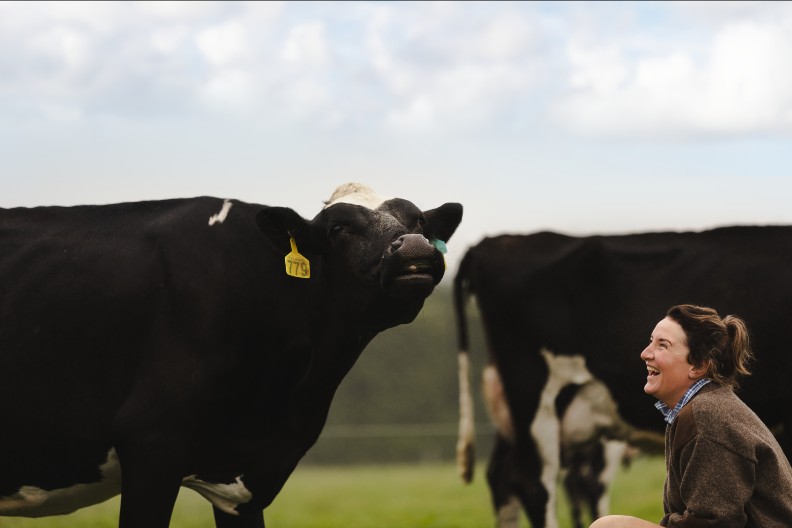 針對牛隻飼養、照顧，紐西蘭牧場已經累積了上百年的知識，代代相傳的智慧，讓他們產出的乳品，維持難以取代的高品質。