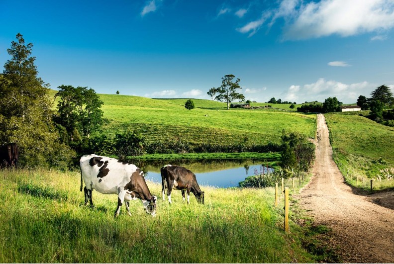 與土地共存是紐西蘭人的民族性，對他們而言，保護自然環境是第一順位。