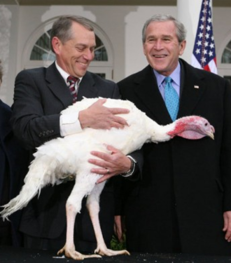 取自維基百科。