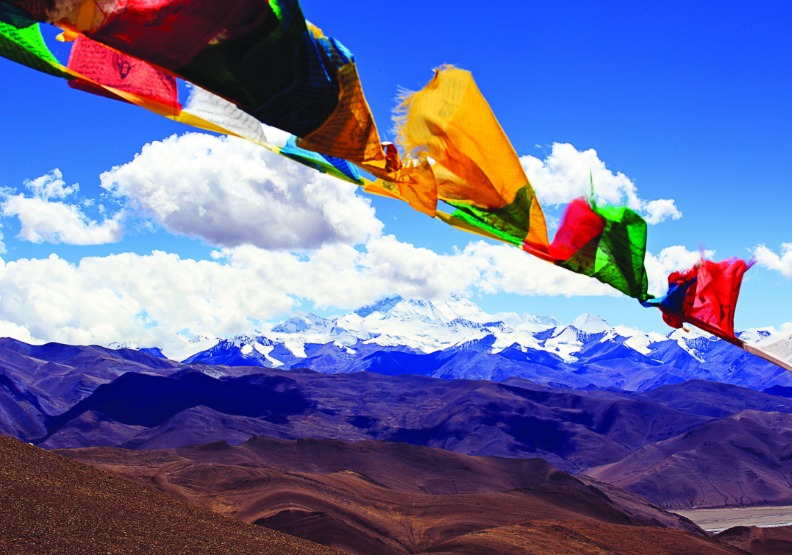 柏樂出版提供。