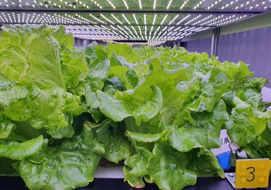 智慧節水與水回收應用 看見水循環與永續