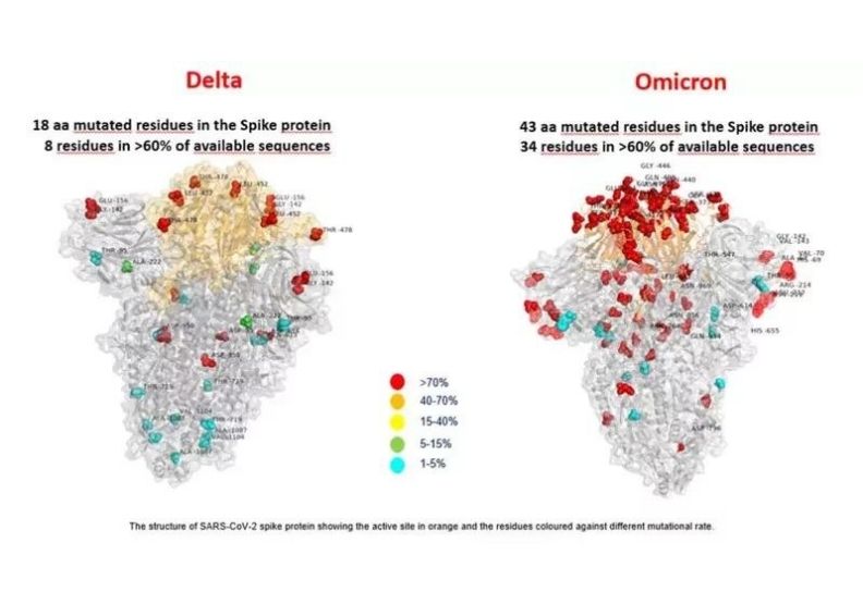 義大利羅馬小耶穌兒科醫院研究團隊27日發布全球首張Omicron變異株的照片,可從圖中看出Omicron(右)比Delta(左)變異株突變處更多。(紅點是變異最多的地方)。取自open.online網站。