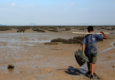 台灣全島快速升溫中！ 台灣冬天將「被消失」