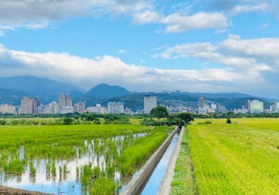 島內散步一日遊〉在地人帶路，尋訪巷弄聽地方故事