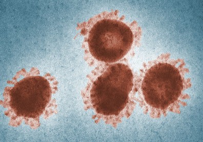 新冠病毒完美進化？研究：Omicron BA.5、BA.4發炎更重、致病力提升