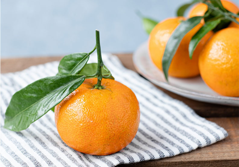 每天一顆橘子補充「類黃酮」，降低失智率？醫師揭這樣吃才正確