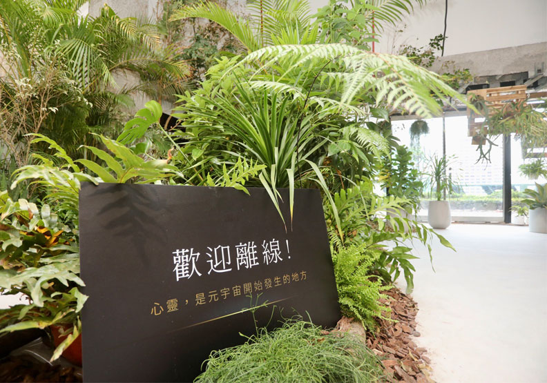 張智傑攝